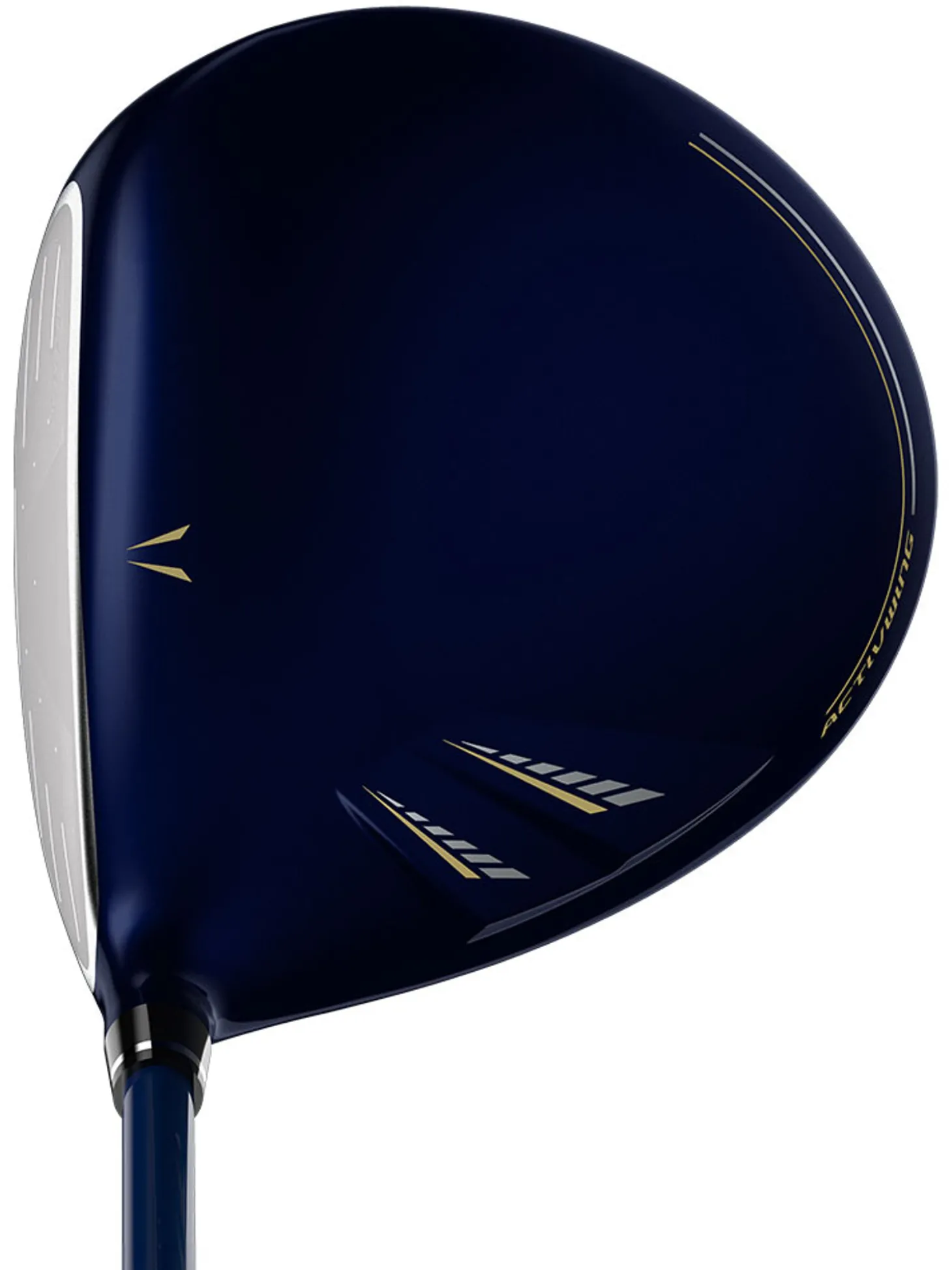 XXIO 13 Driver